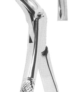 Extracting Forceps American pattern