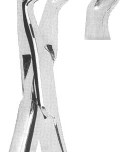 Extracting Forceps American pattern