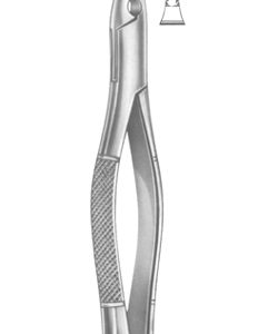 Extracting Forceps American pattern