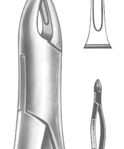 Extracting Forceps American pattern