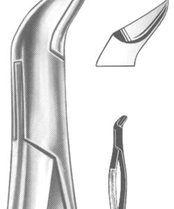 Extracting Forceps American pattern