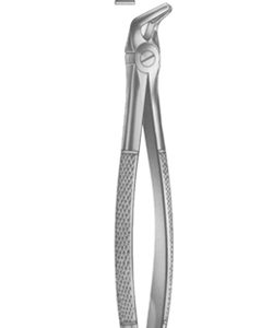 Extracting Forceps English pattern