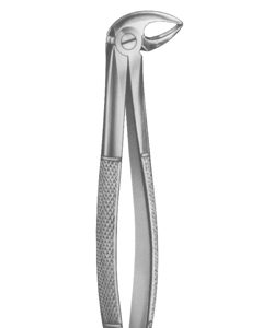 Extracting Forceps English pattern