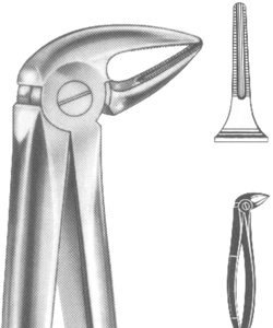 Extracting Forceps English pattern