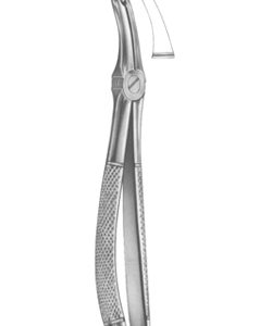 Extracting Forceps English pattern