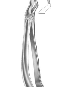 Extracting Forceps English pattern