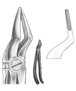 Extracting Forceps English pattern