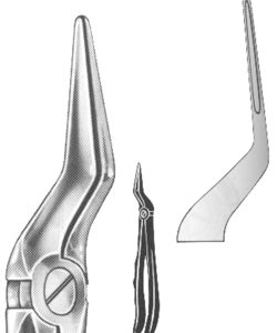 Extracting Forceps English pattern