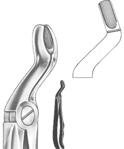 Extracting Forceps English pattern