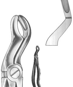 Extracting Forceps English pattern