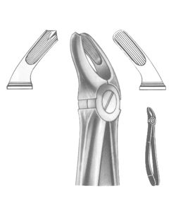 Extracting Forceps English pattern