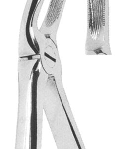 Extracting Forceps English pattern