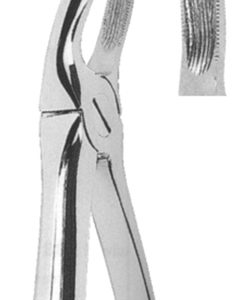 Extracting Forceps English pattern