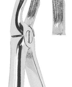 Extracting Forceps English pattern