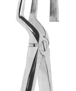 Extracting Forceps English pattern