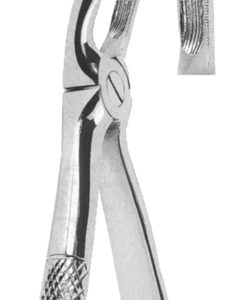 Extracting Forceps English pattern