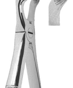 Extracting Forceps English pattern