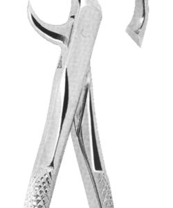 Extracting Forceps English pattern