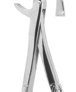 Extracting Forceps English pattern