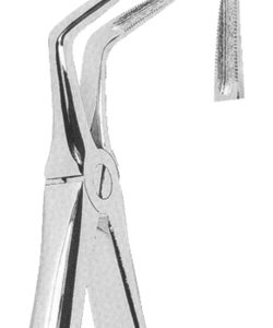 Extracting Forceps English pattern