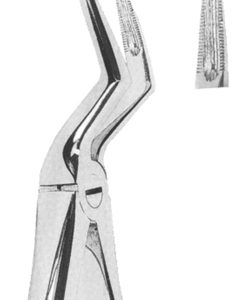 Extracting Forceps English pattern