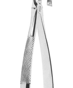 Extracting Forceps English pattern