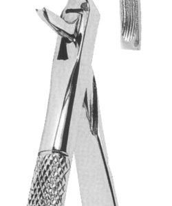 Extracting Forceps English pattern