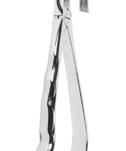 Extracting Forceps English pattern