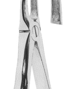 Extracting Forceps English pattern