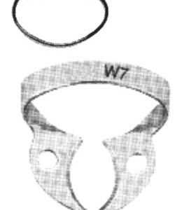 Rubber Dam Clamps